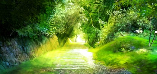 Awareness and consciousness