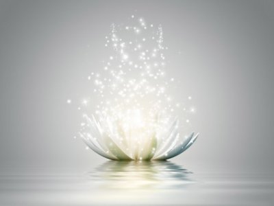 Sri Nisargadatta Maharaj Grace