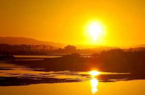 Find out the real sense of "I"