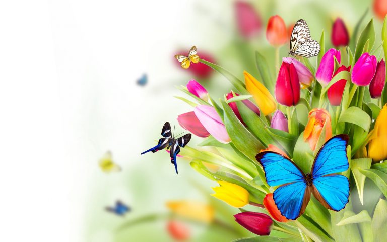 Desires and Fulfillment, Witnessing